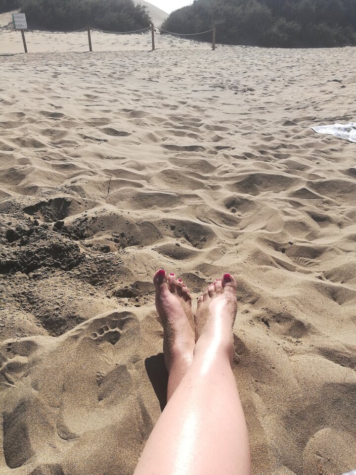 IMG_20190120_161153.jpg - stokrotka1