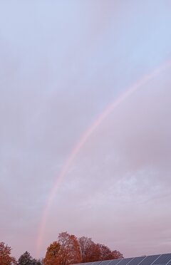 IMG_20221011_070616.jpg
