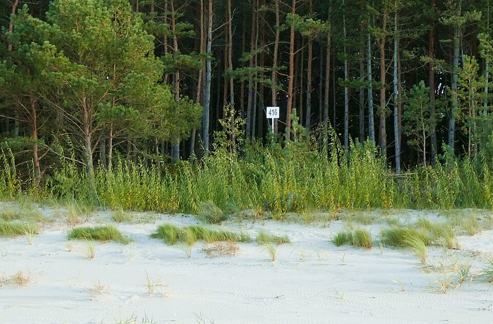 P1000312.JPG - analizator29