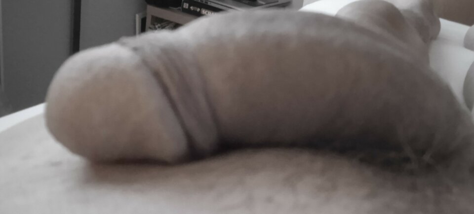 IMG_20221012_065048.jpg - 19Grzegorz55