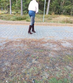 IMG_20221012_102551.jpg