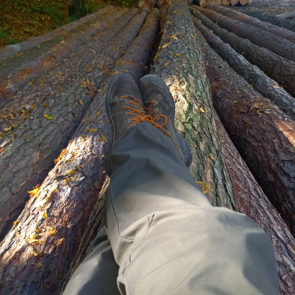 Chwila na zamyślenie:)🤷‍♂️ - RegularMc