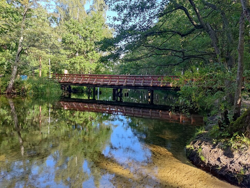 IMG_20220829_091605.jpg - edytkaandrzej