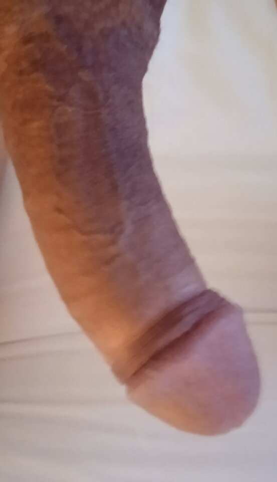 IMG_20221007_194631~2.jpg - 19Grzegorz55