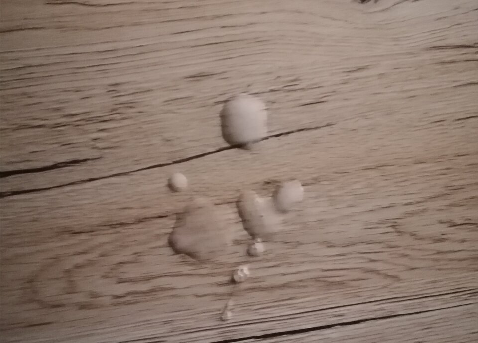 IMG_20221013_101545.jpg - szalonaparka76