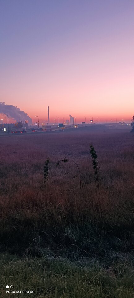 IMG_20221013_063551.jpg - Napaleni75