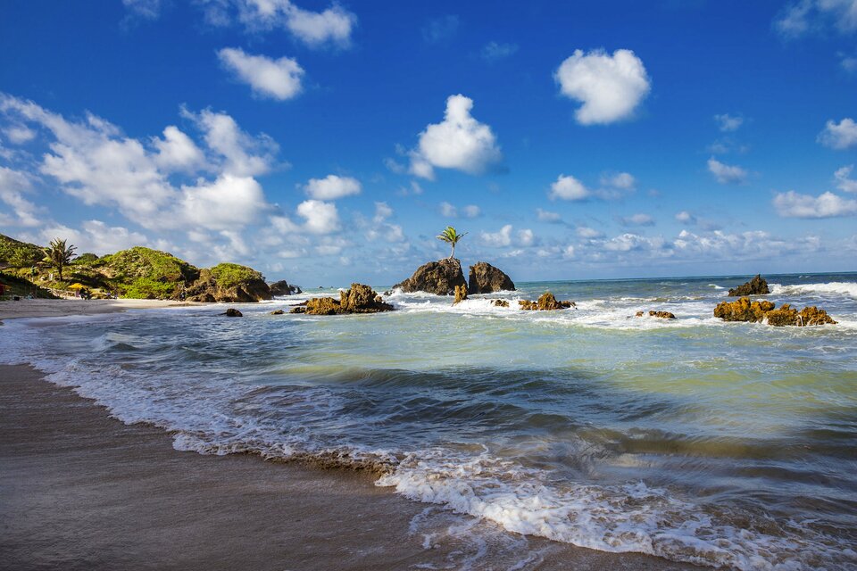 65d80d61-0d37-47ae-94d2-edfdb46cfef2-108.jpg - naturystaadamm