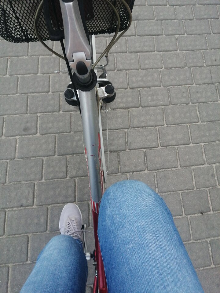 IMG_20221013_142626.jpg - Frelka_ze_wsi