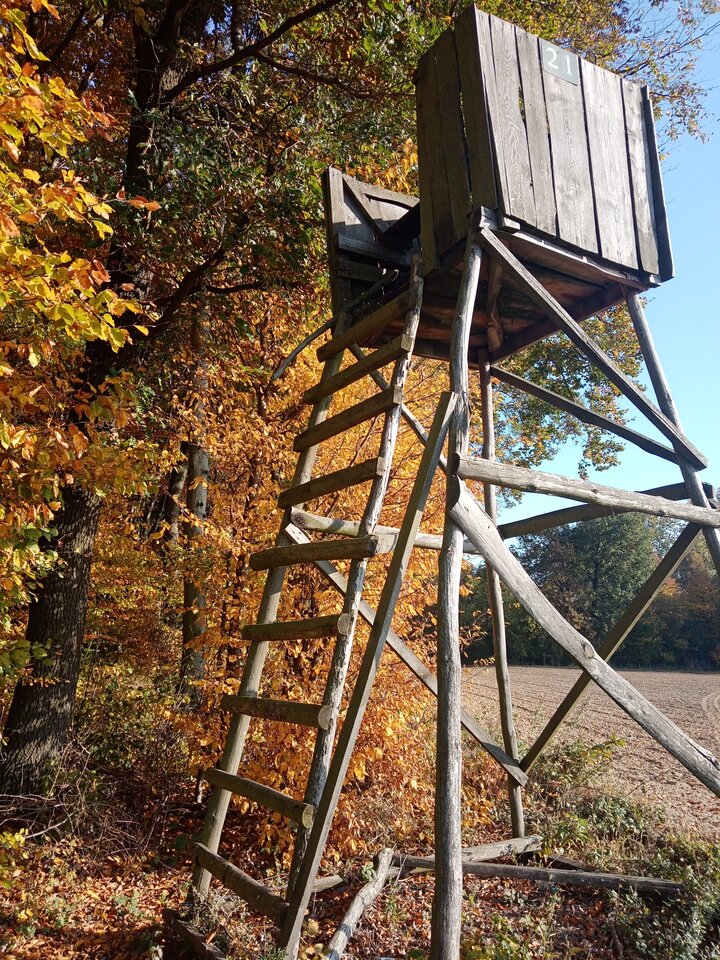 IMG_20221013_151810.jpg - RYBECZKA12345