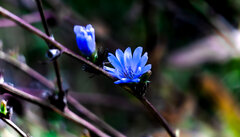 IMG_4015.JPG