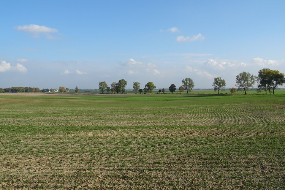 DSC00488.JPG - bojman8