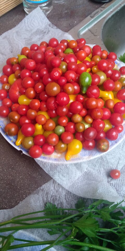 16658398021921407307678274951764.jpg - STORCK