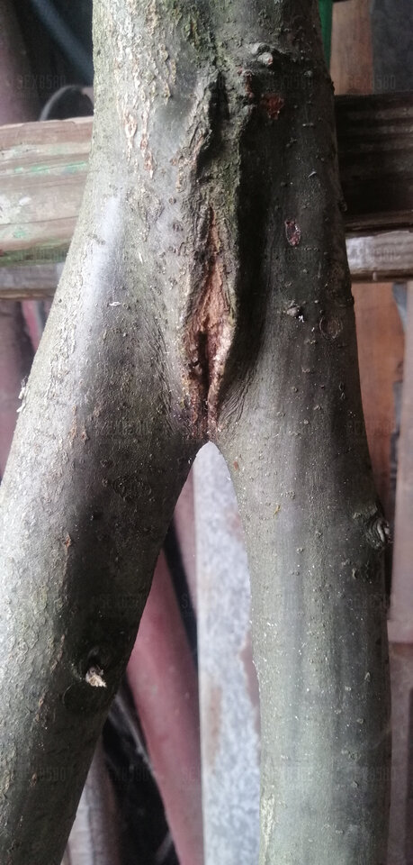 Natura😜 - sex8580