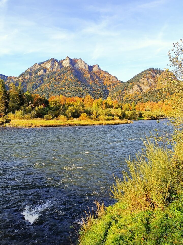 309595140_5643044999049154_4047738478166040423_n.jpg - Frelka_ze_wsi