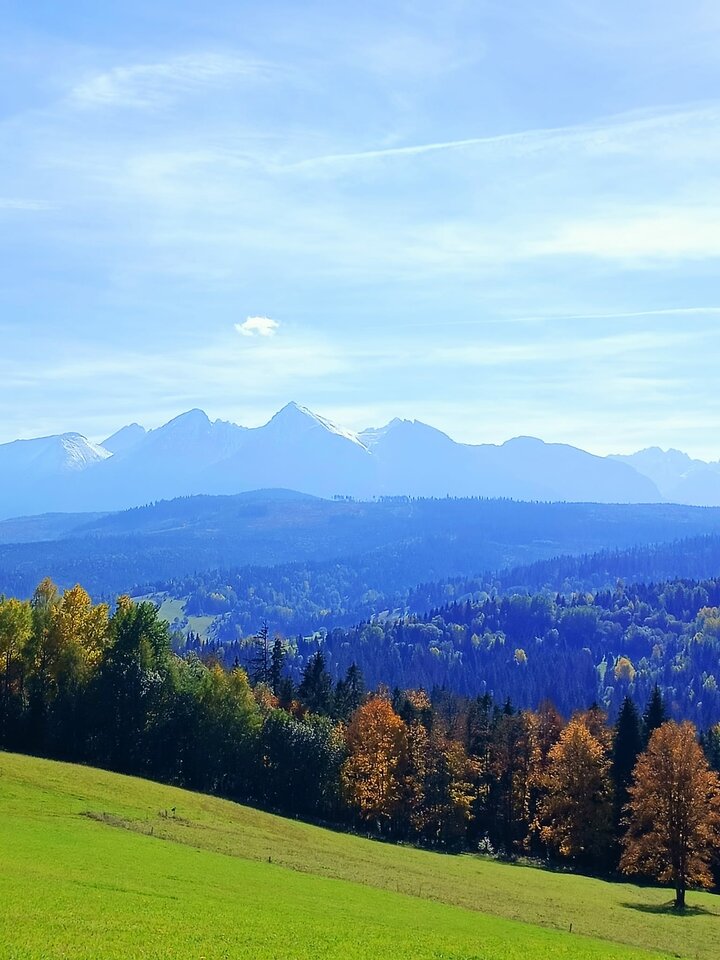 310927936_5643044522382535_5797188355983586387_n.jpg - Frelka_ze_wsi