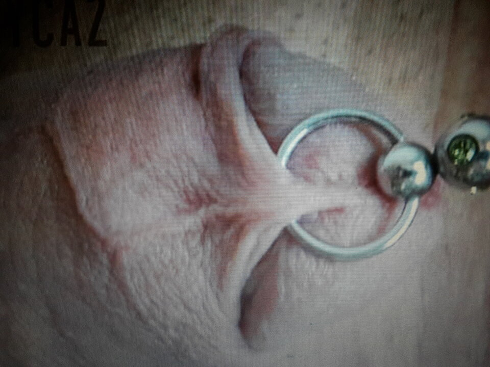 20150520_182745.jpg - fotodragon