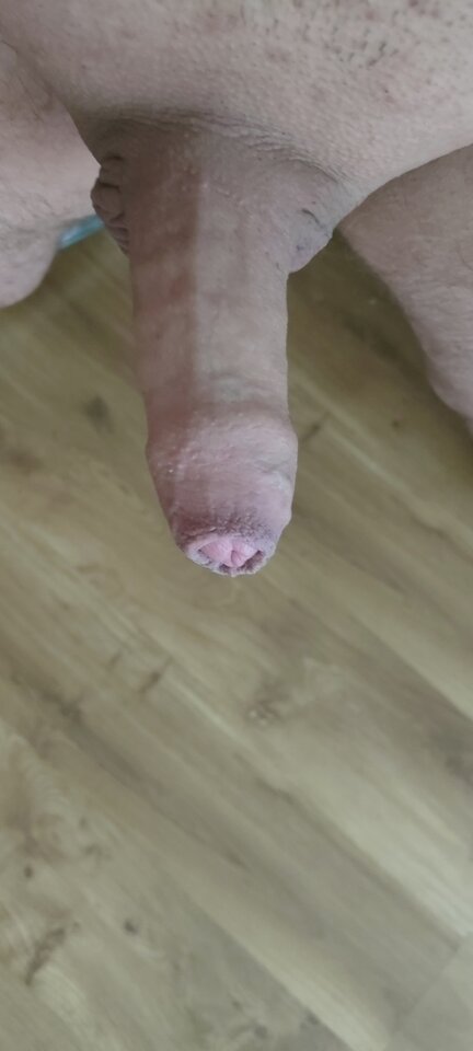 IMG20221015115629.jpg - On31det