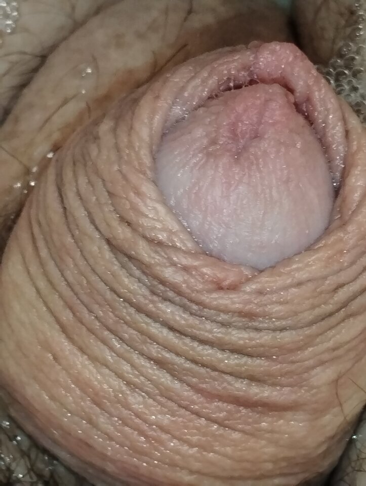 16659034999012482155580301045584.jpg - matuzalem000