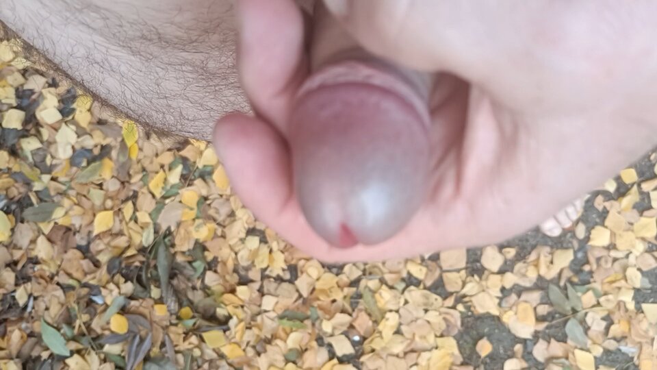 IMG_20221016_15422504.jpg - Jarekx1