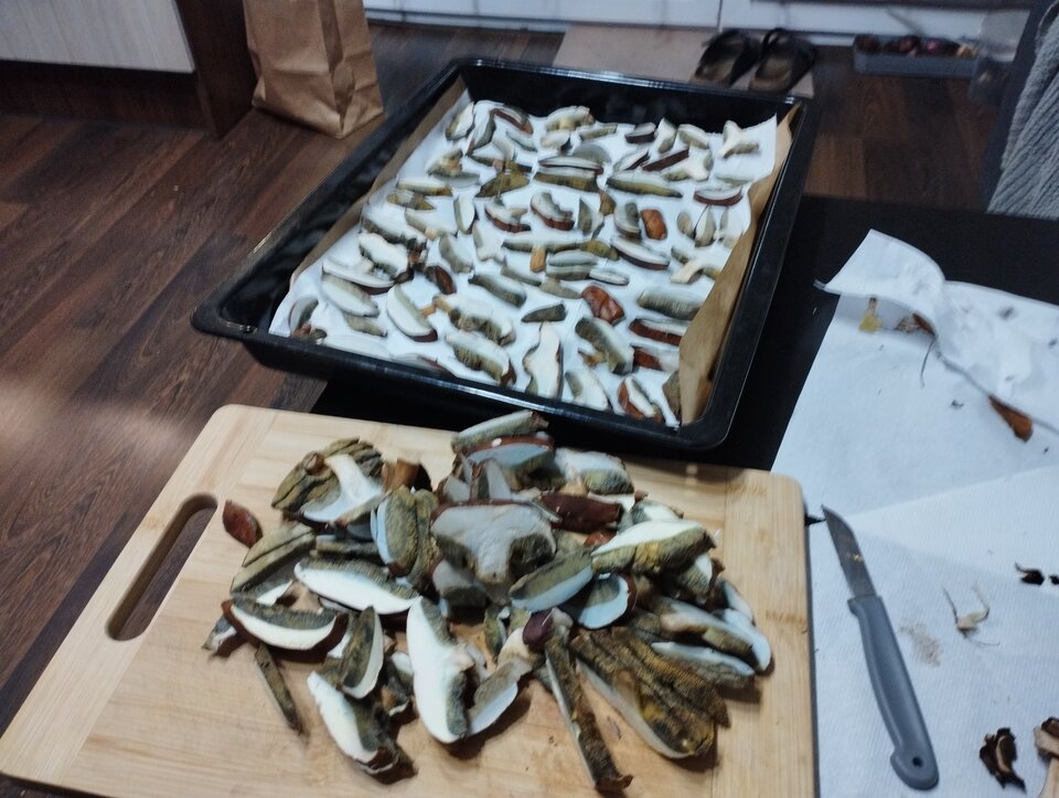 IMG_20221016_195349.jpg - WMoD666