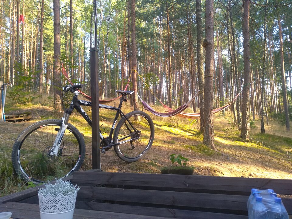 IMG_20220812_181507.jpg - tomekkkrk