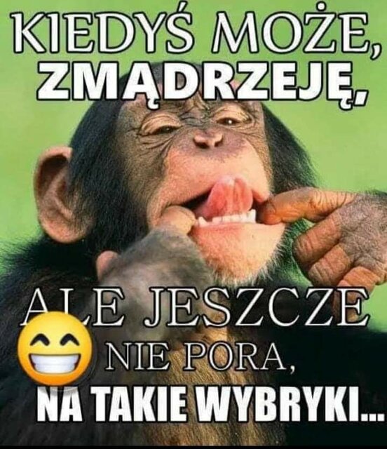 FB_IMG_1665895217036.jpg - Nicci