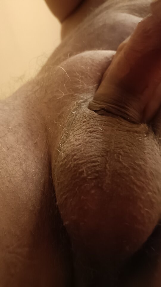 IMG20221017082324.jpg - ardas1