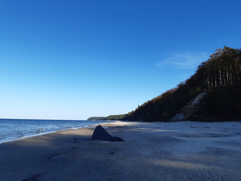 20221007_150419.jpg - torii99