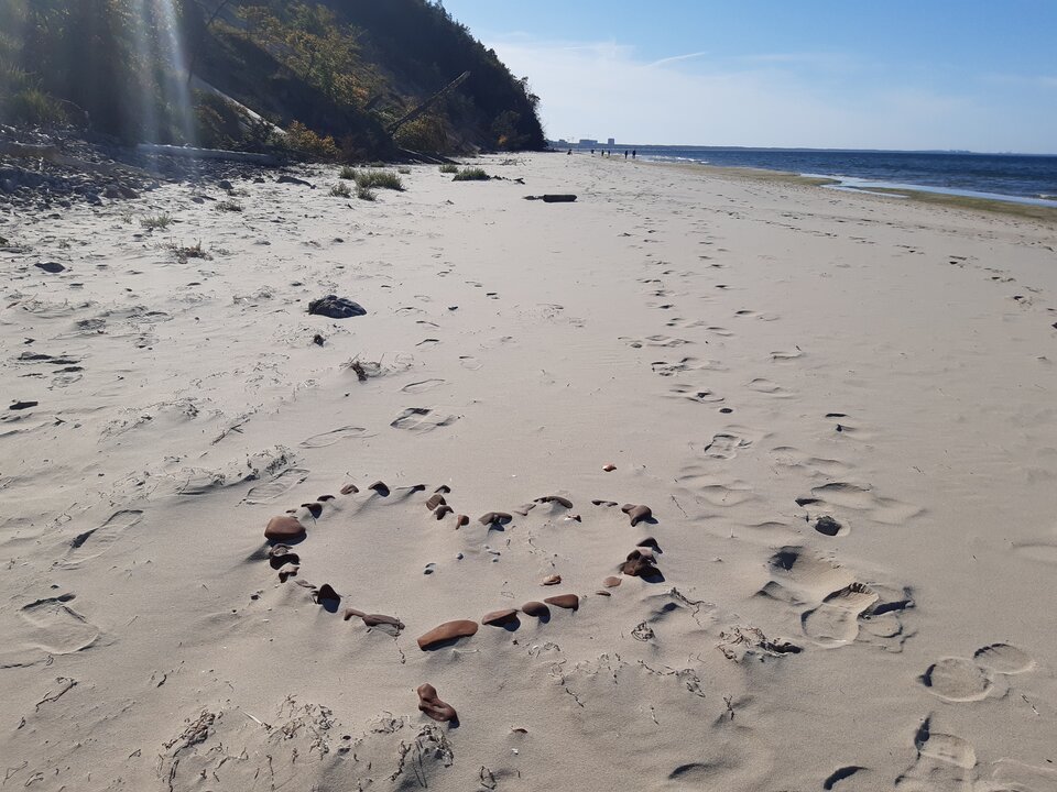 20221007_134842.jpg - torii99