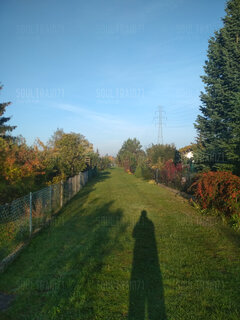 IMG_20221017_083000.jpg