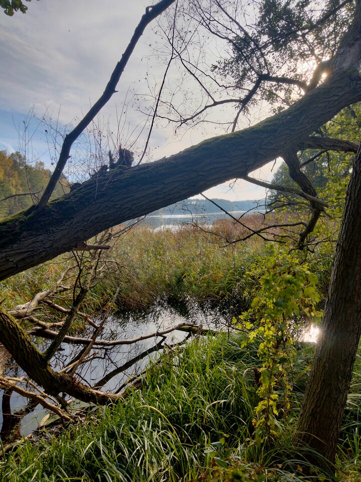 IMG20221017153628.jpg - DonMedro