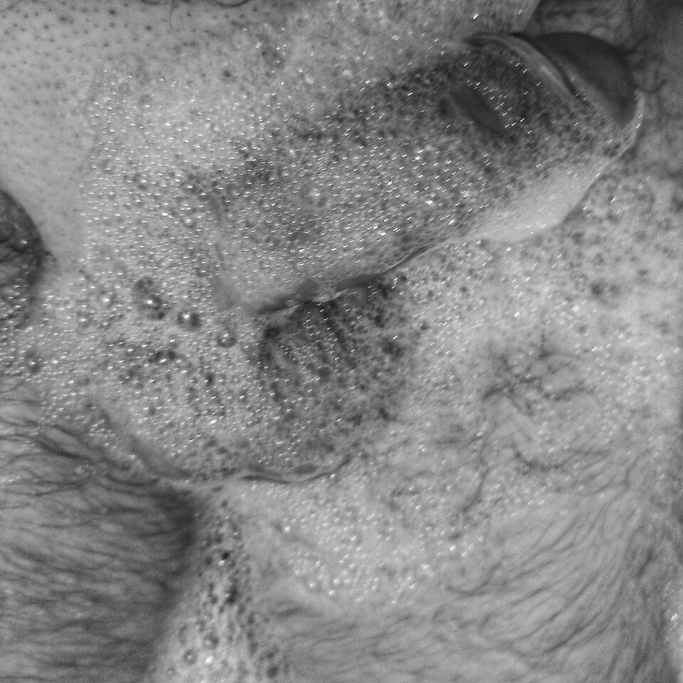 1665947181546-01.jpeg - Misiek4fun