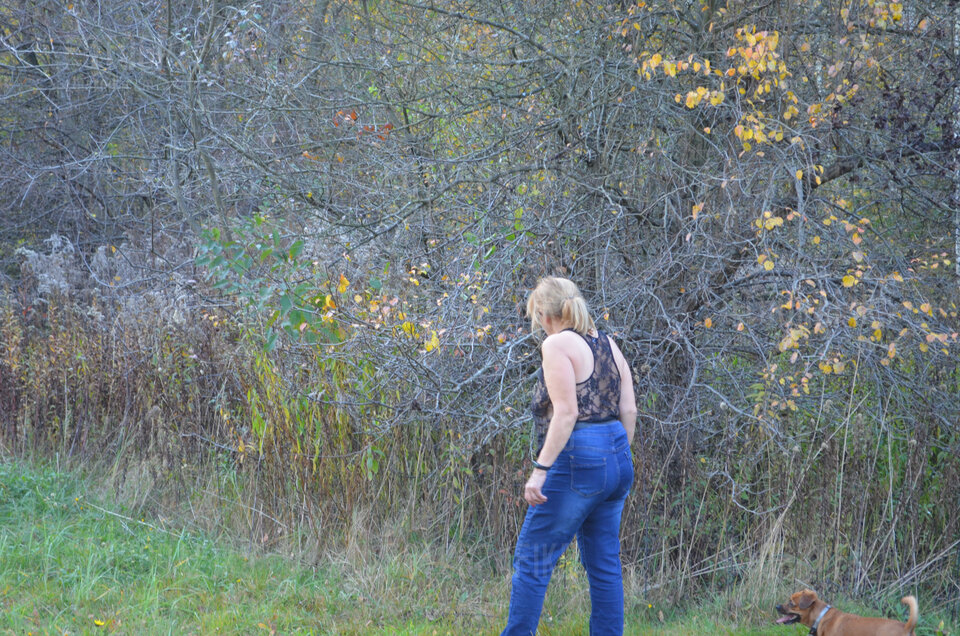 DSC_0147.JPG - fotografik5