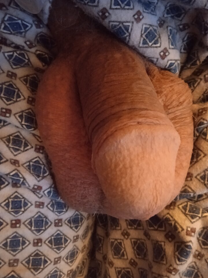 IMG_20221019_071704.jpg - 19Grzegorz55