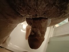 IMG20221020094056.jpg