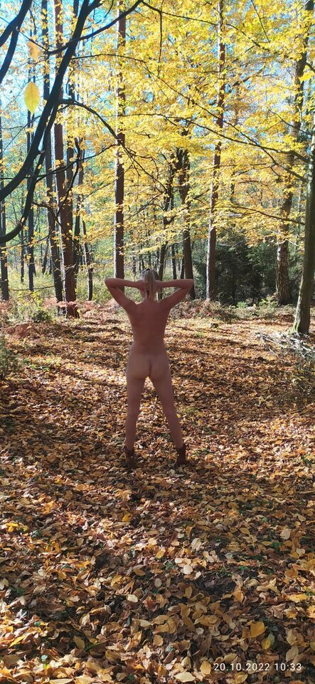 signal-2022-10-20-10-56-51-841-2.jpg - AnKar2022