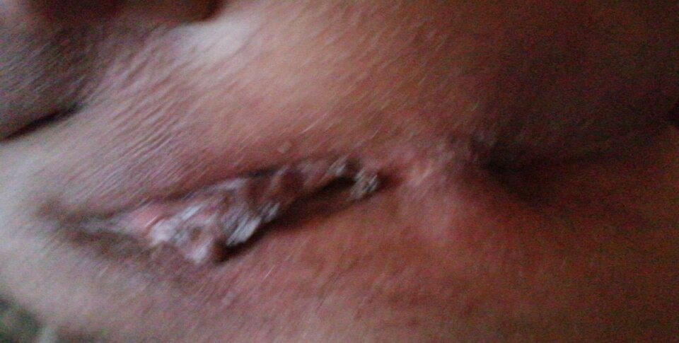 received_319069203639237.jpg - PolDic