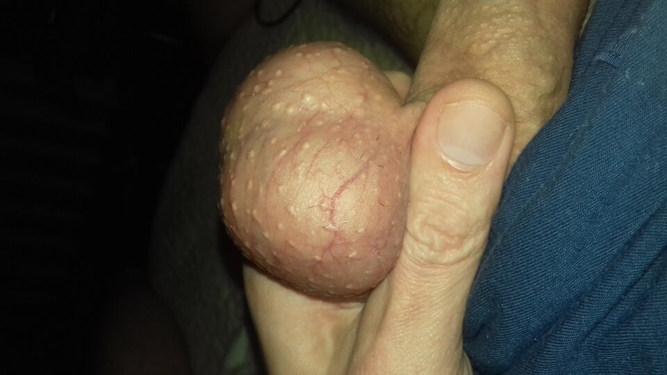 20221020_230737.jpg - kamis270