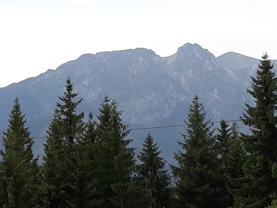 20190729_092208.jpg - CUBUT