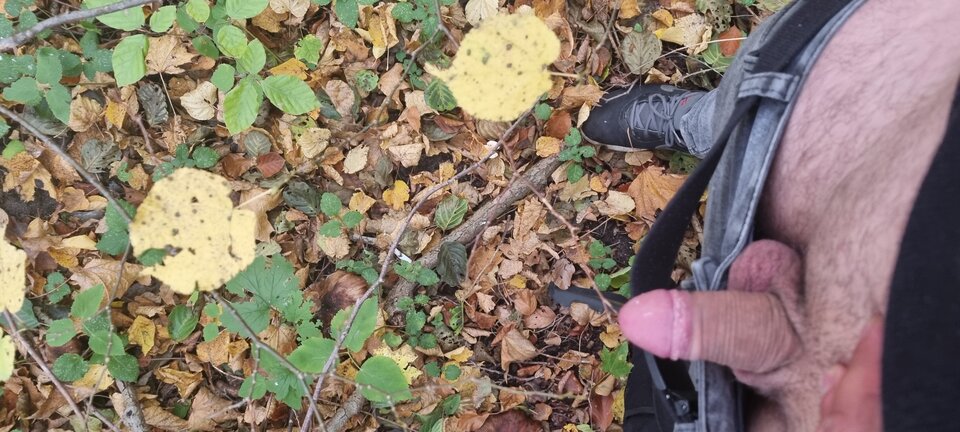 1666356053649405824294086699991.jpg - WyssamCie69