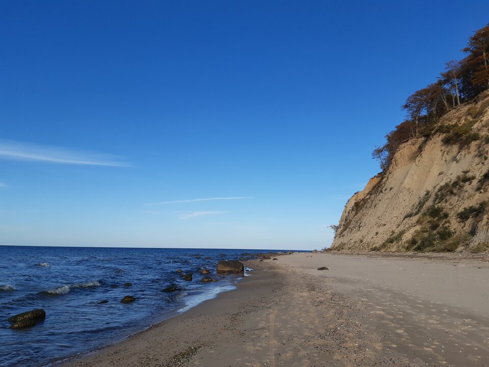 20221007_162110.jpg - torii99