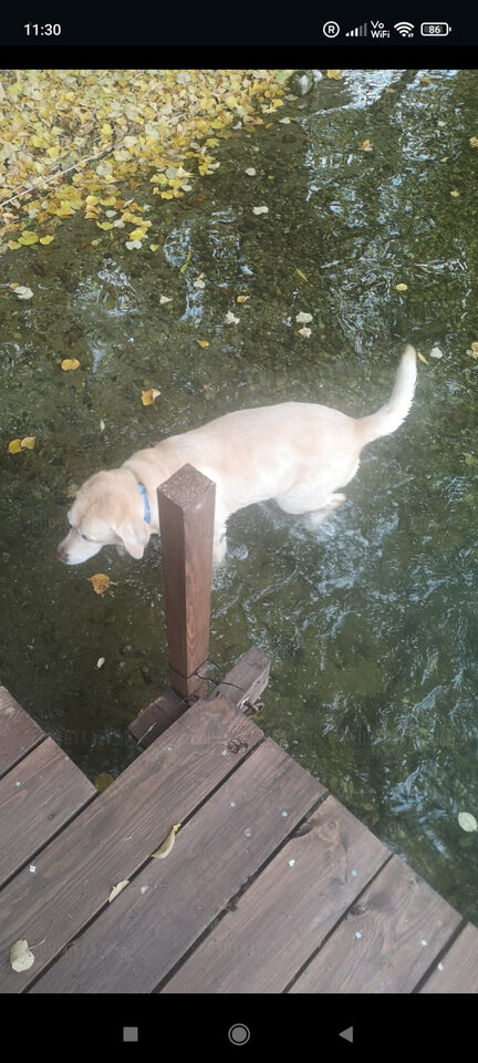 Screenshot_2022-10-16-11-30-12-204_com.whatsapp.jpg - Eurydyka2956