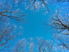 20210214_122725.jpg