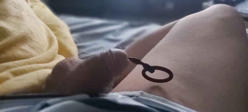 20221022_024204.jpg - precido