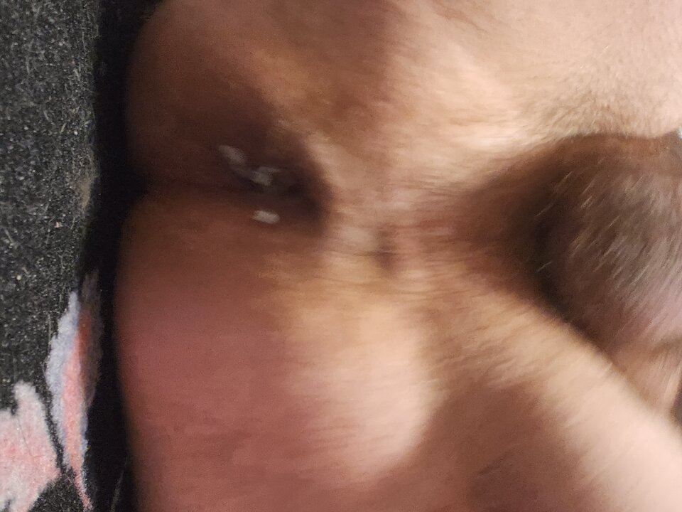 16664007716402462200810648842350.jpg - Dzikusowy