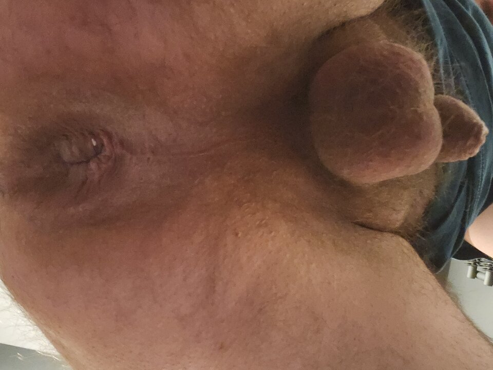 16664011773593161647932282552540.jpg - Dzikusowy