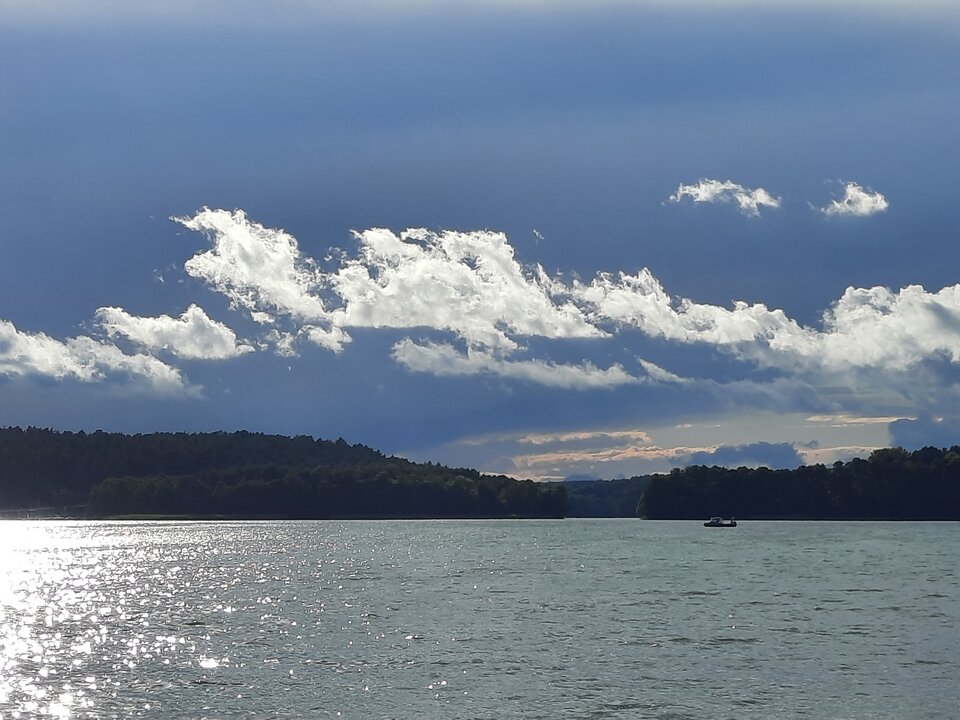 20220710_180831.jpg - Pawel7508