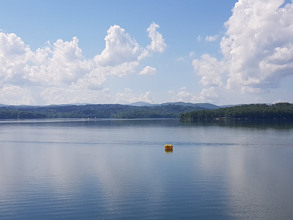 20190519_095643.jpg - Pawel7508