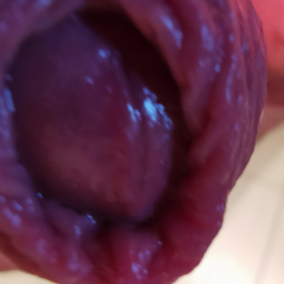 IMG_20221022_094721.jpg - Zi0001