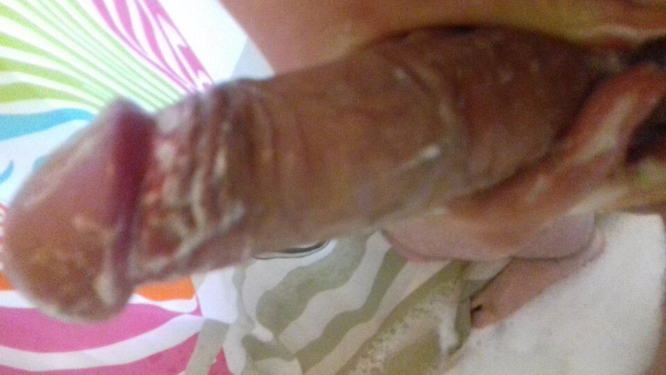 20180325_094403.jpg - tough_sly38